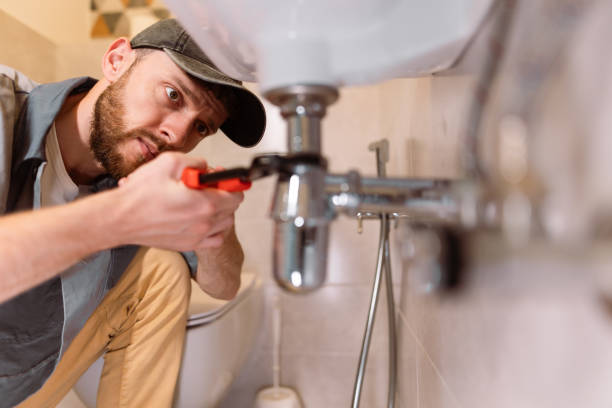 Best Trenchless Pipe Repair  in Alachua, FL